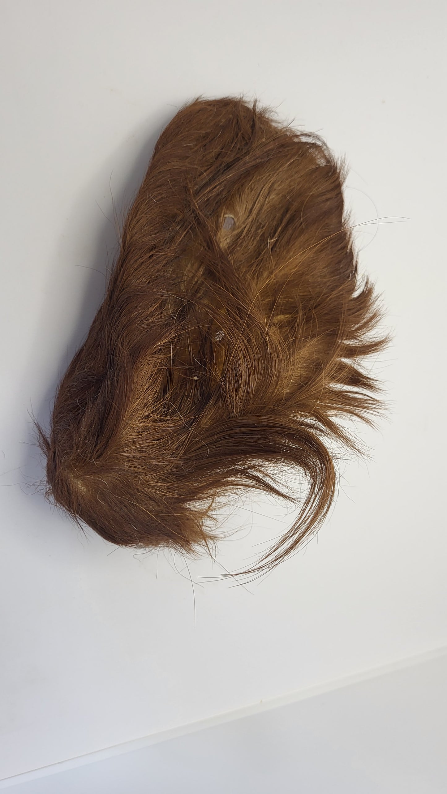 Furry Cow Ear