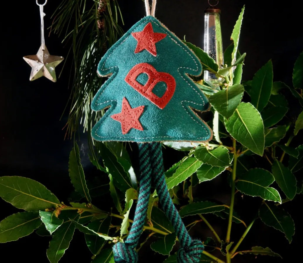 Bruce the Spruce, Eco Toy