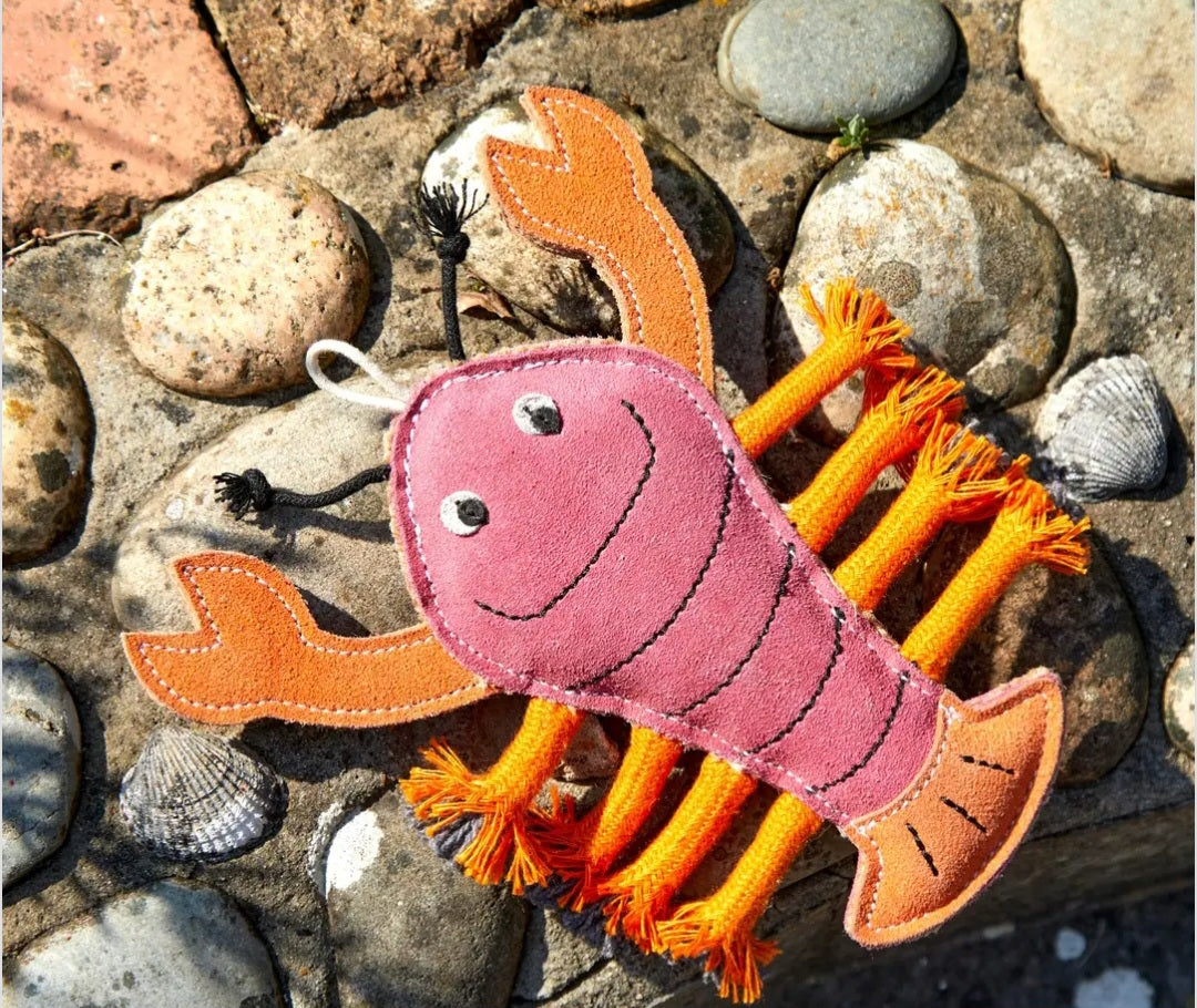Larry the Lobster, Eco Dog Toy