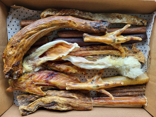 Natural Dog Treat Chew Box