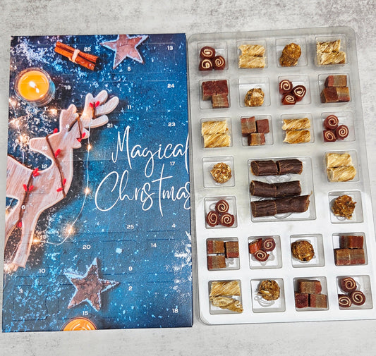 Christmas Reindeer Dog Treat Advent Calendar