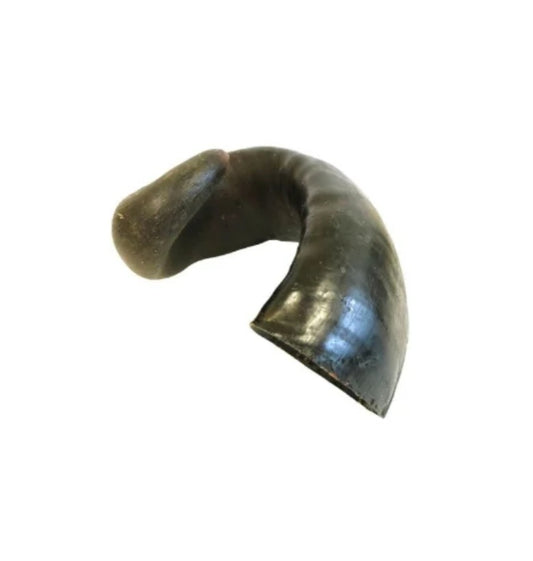 Buffalo Horn – Small