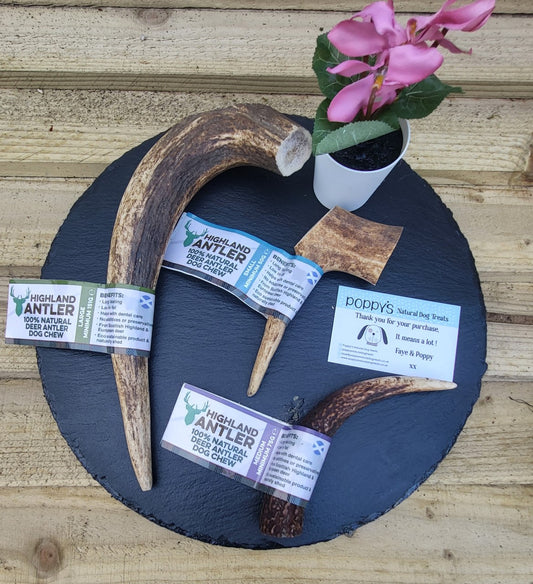 Antos Highland Antlers