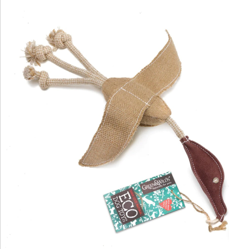 Desmond the Duck, Eco Toy