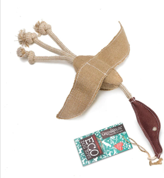 Desmond the Duck, Eco Toy