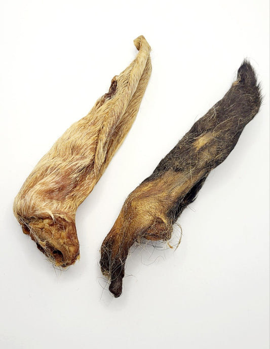 Lamb Ear