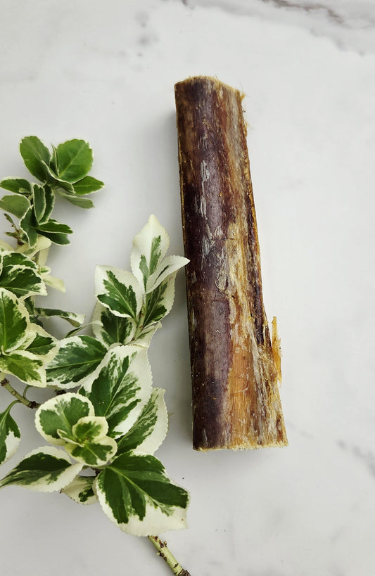 Ostrich Marrow Bone