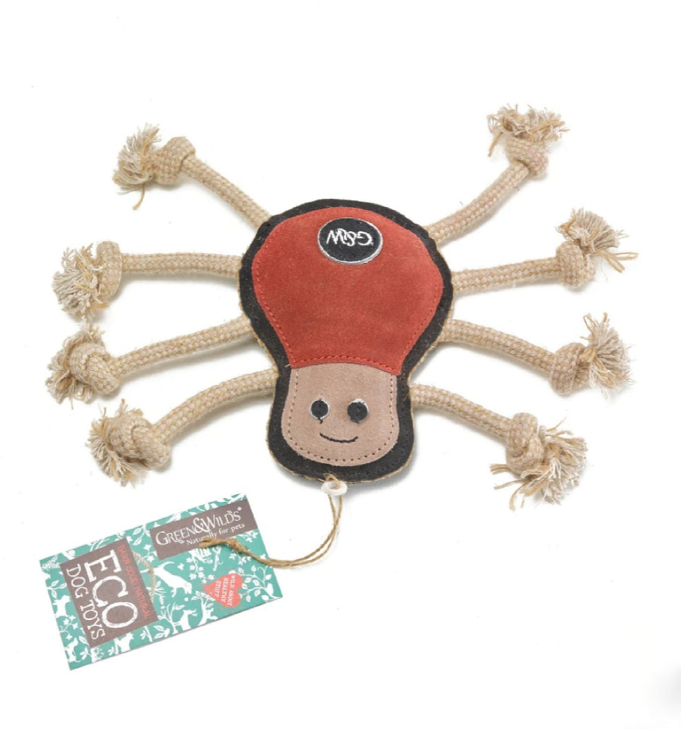 Spike the Spider, Eco toy