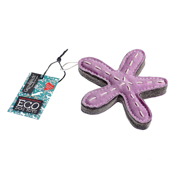 Stanley the Starfish, Eco Toy