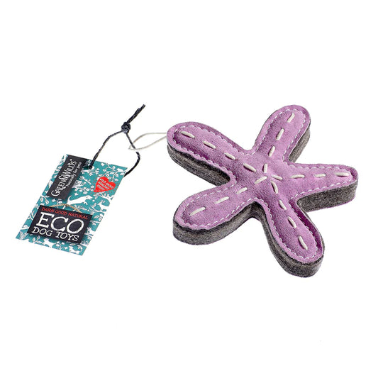 Stanley the Starfish, Eco Toy