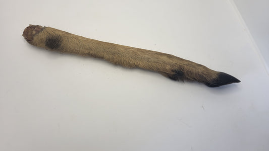 Venison Leg