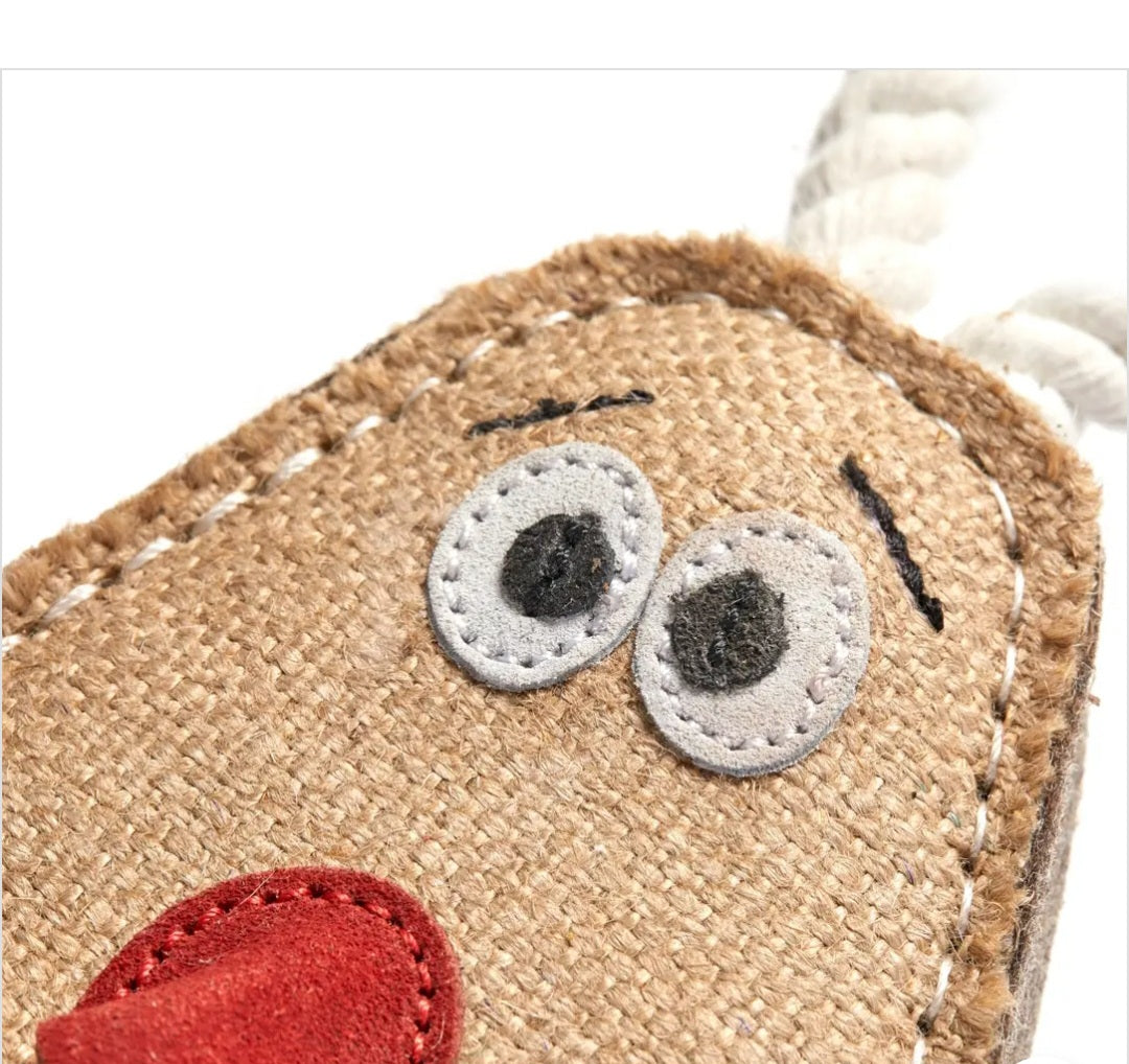 Spud Nik, Eco Dog Toy