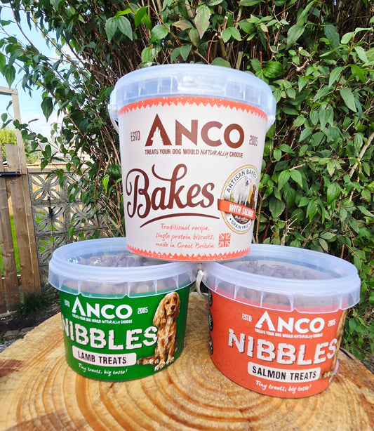 Anco Bakes and Nibbles Bundle