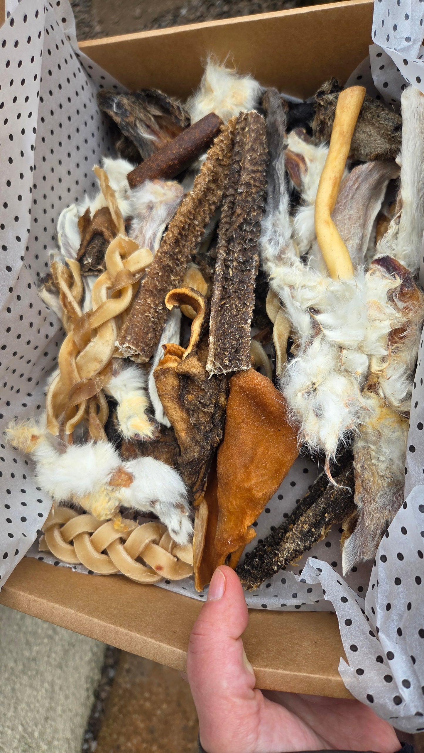 Cut Offs and Odd Shapes Natural Treat Box