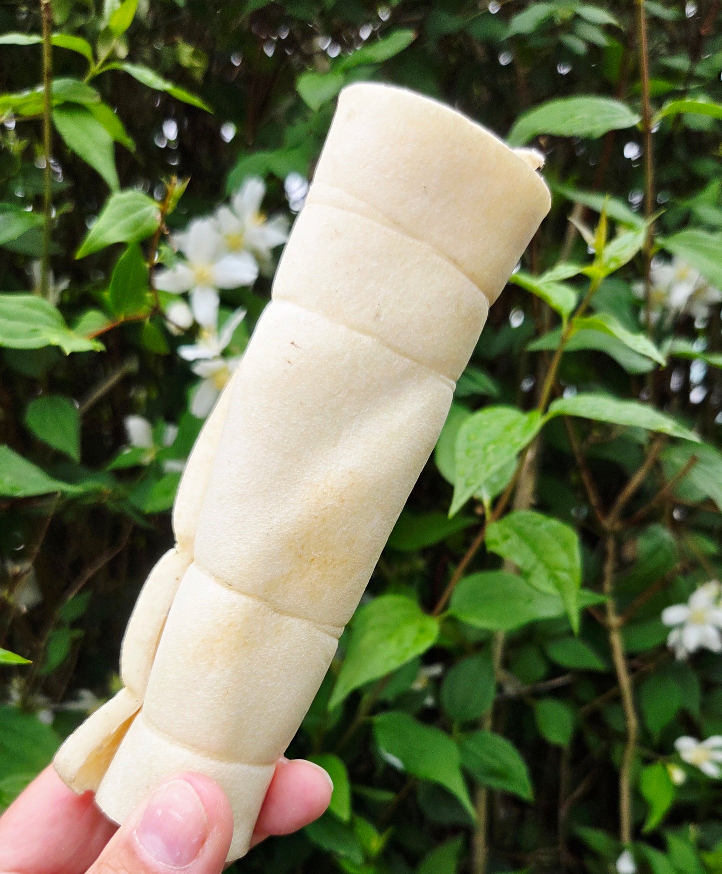 Anco Naturals Bully Roll Medium